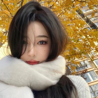 阿尔迪克