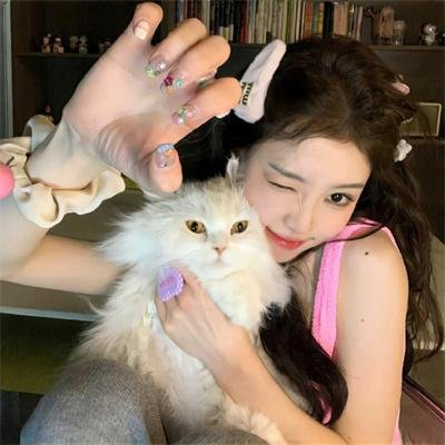金牌律师之生死劫